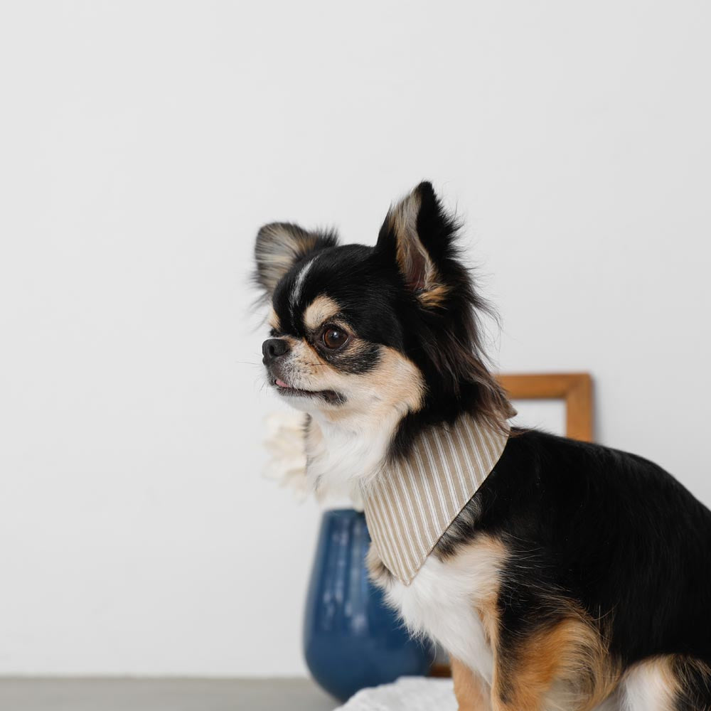 [Charity] Reversible bandana