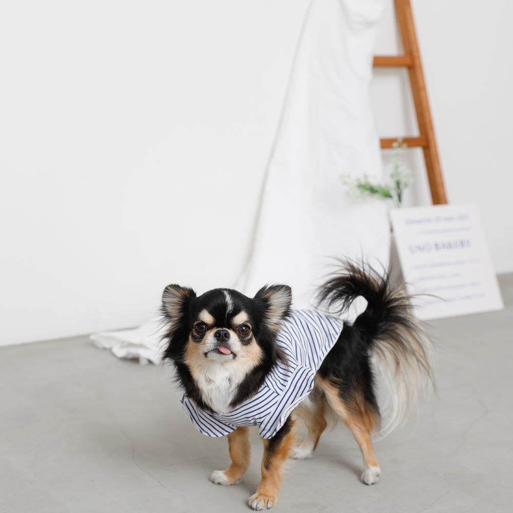 French flare sleeve border T-shirt