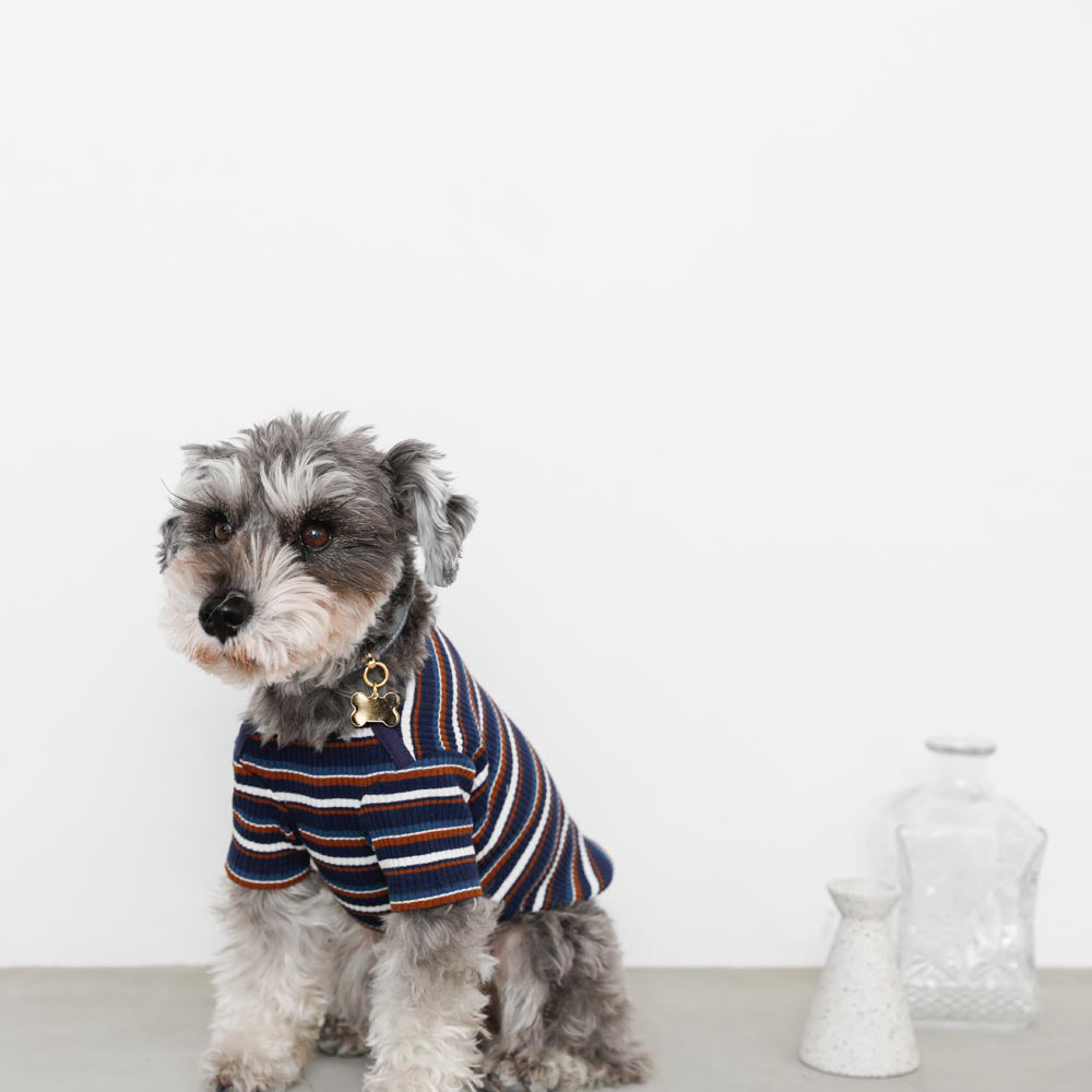 multi-border rib pullover