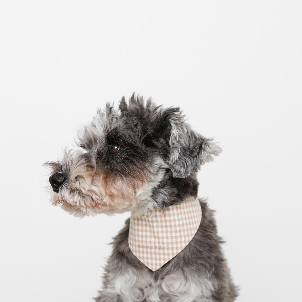 [Charity] Reversible bandana