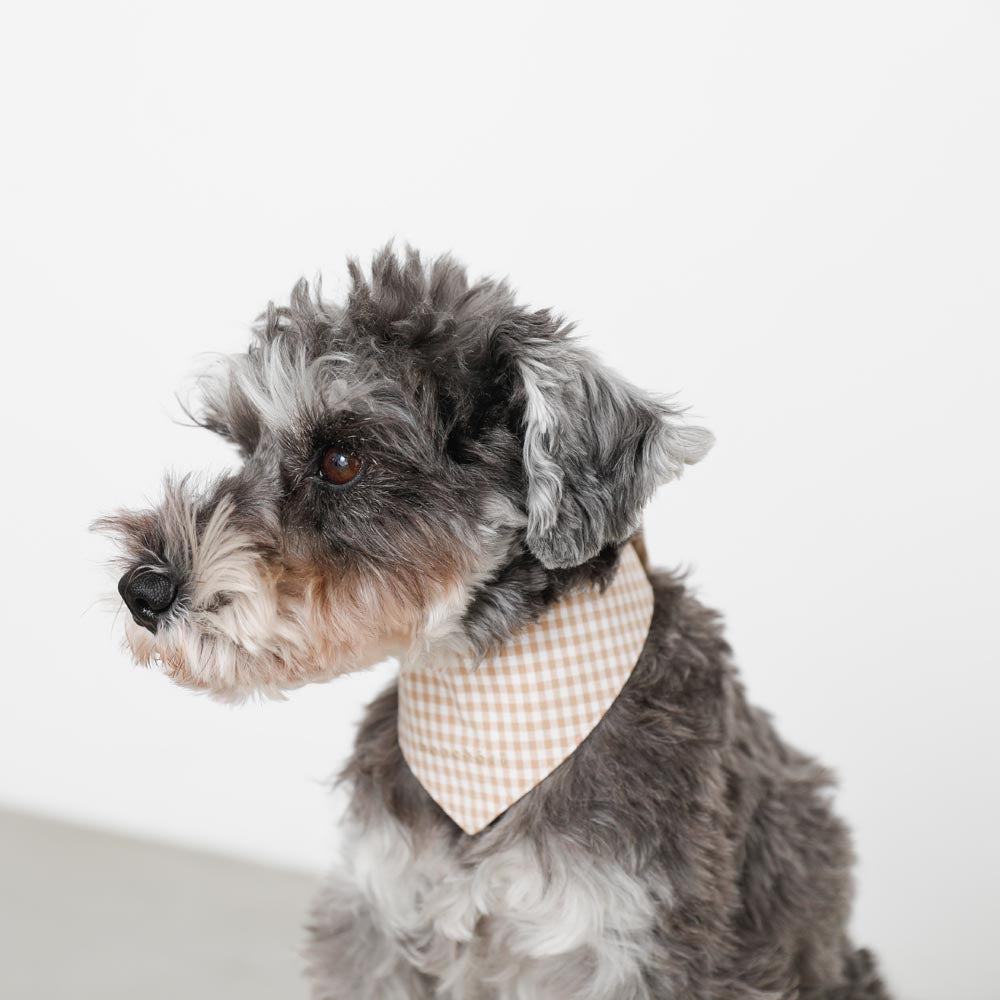 [Charity] Reversible bandana