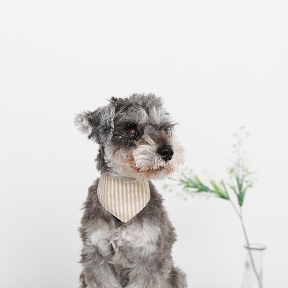 [Charity] Reversible bandana