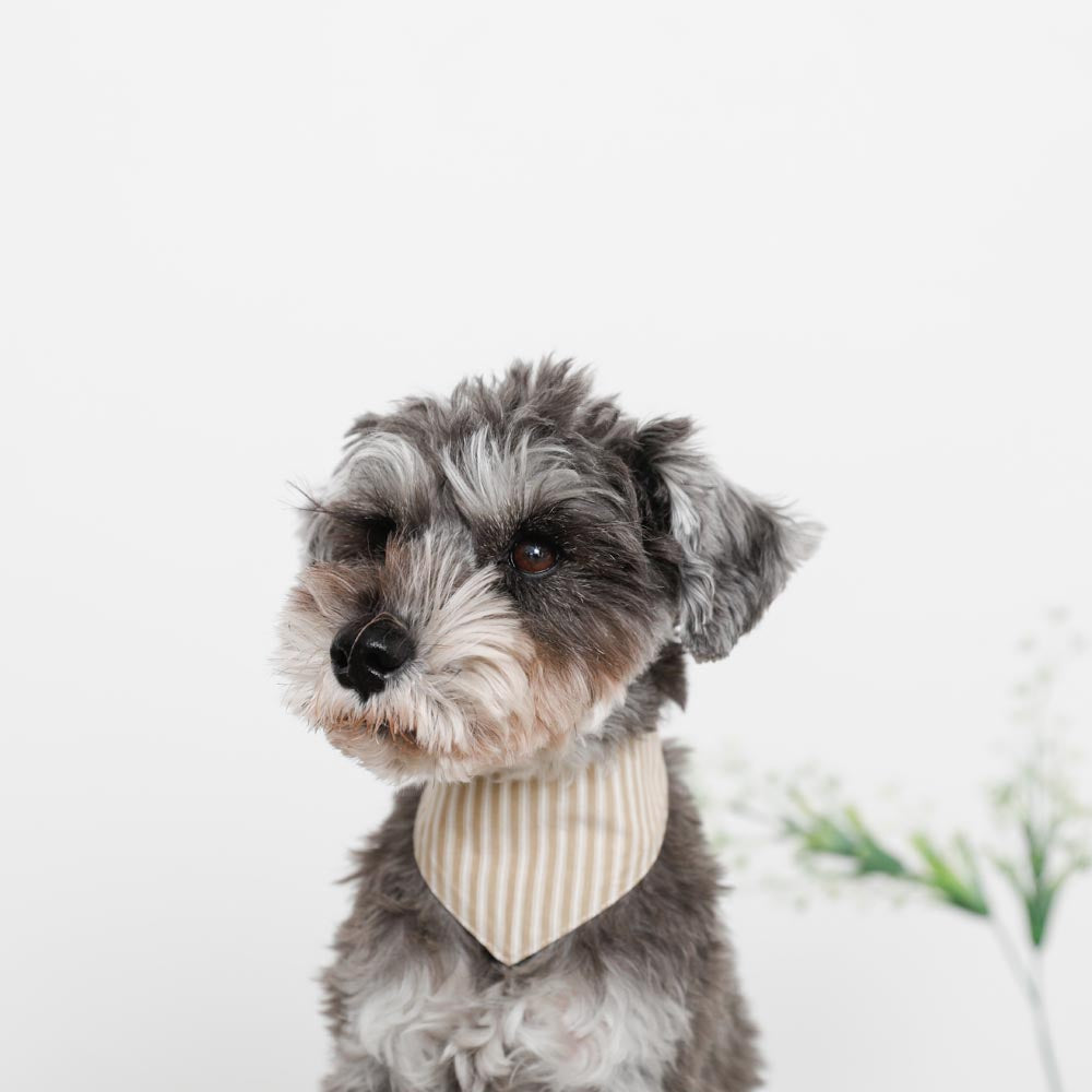 [Charity] Reversible bandana