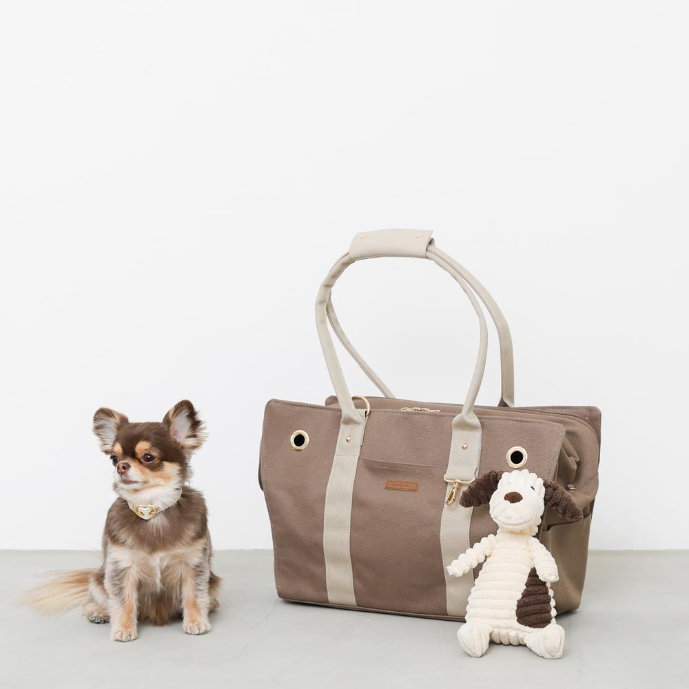 Pet canvas tote bag [Name embroidery available]