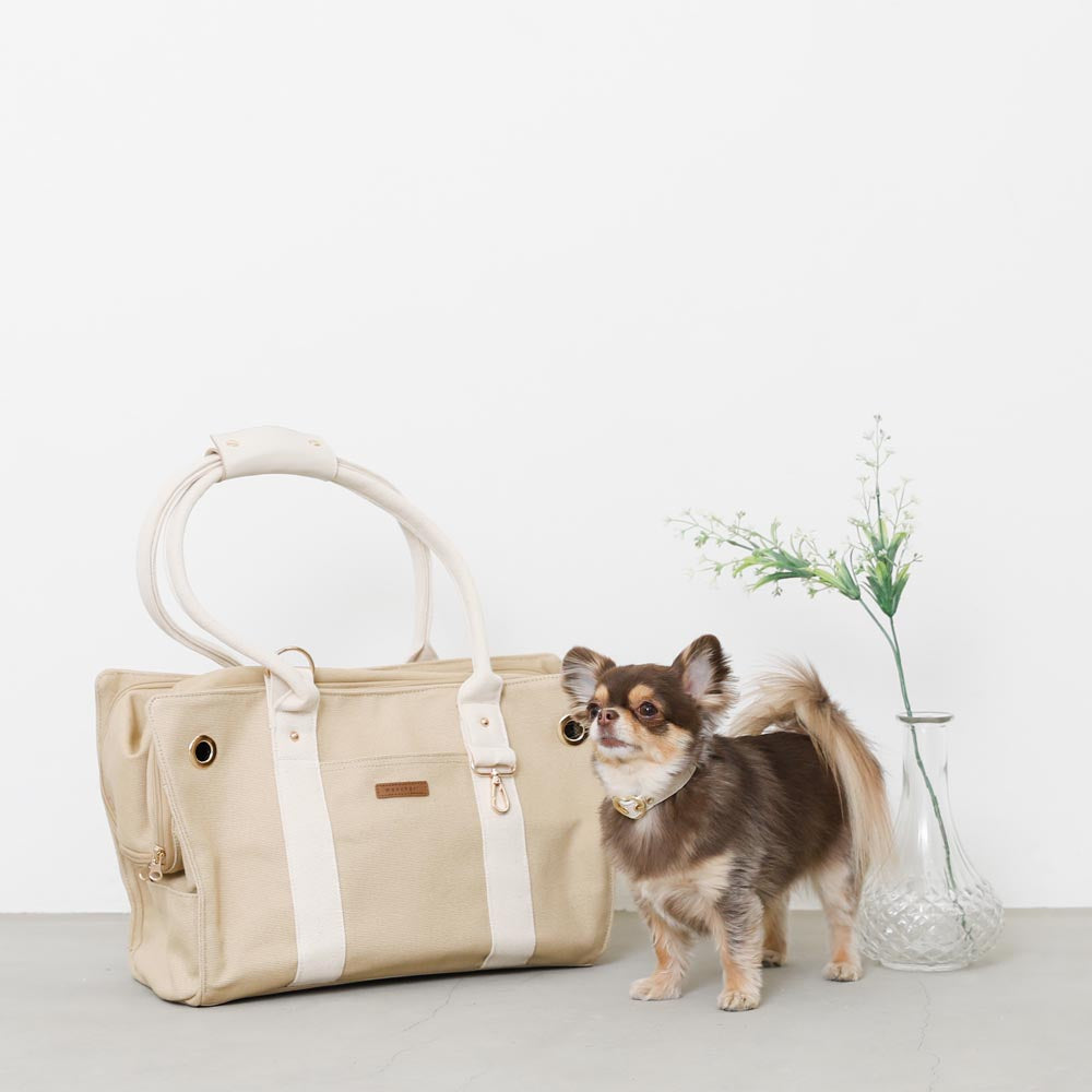 【完売品】モンシェリ　ペットキャンバストートバッグ ペットキャンバストートバッグ【名入れ刺繍対応】