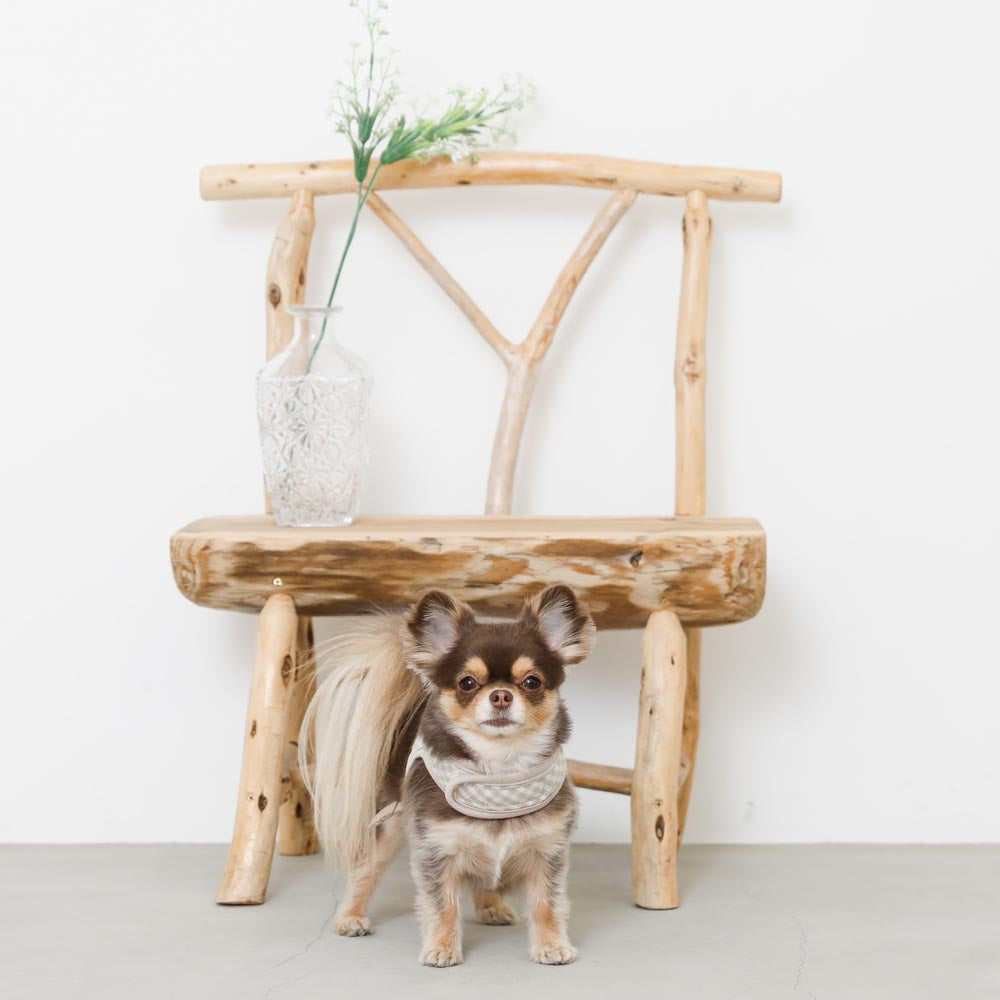 gingham check harness