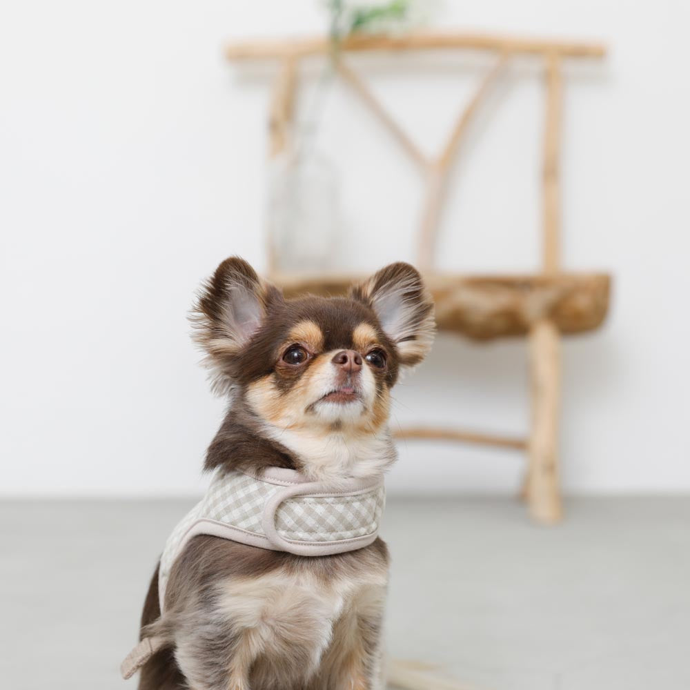 gingham check harness