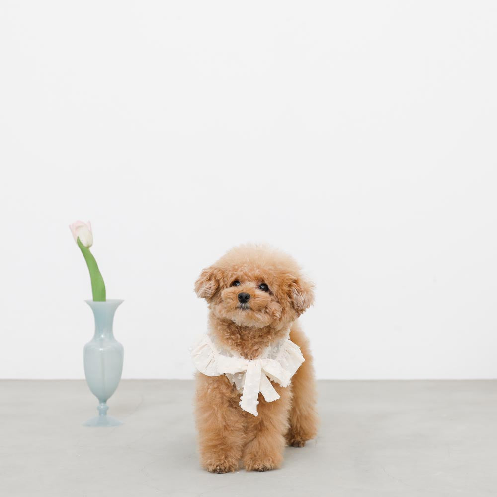 ポンポンシフォンブラウス