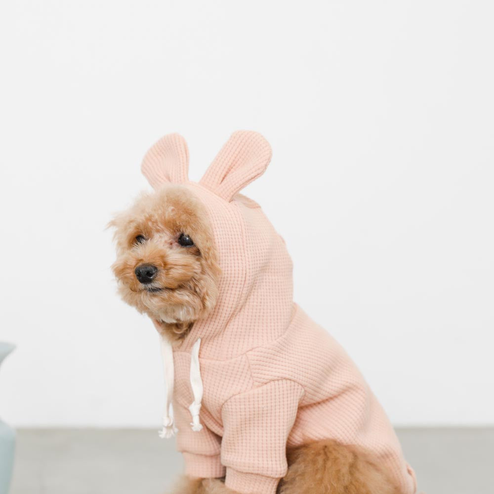 rabbit hoodie hoodie