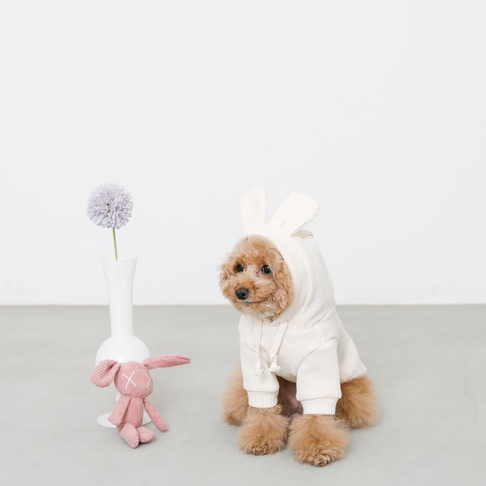 rabbit hoodie hoodie