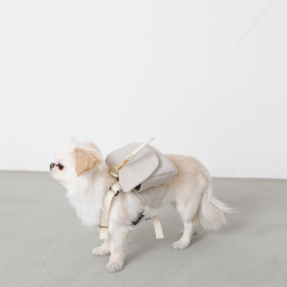 皮革铅