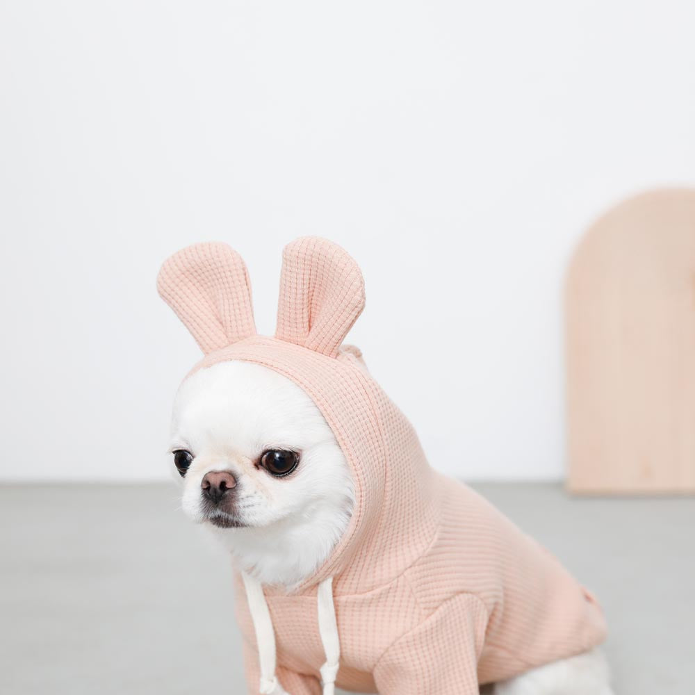 rabbit hoodie hoodie