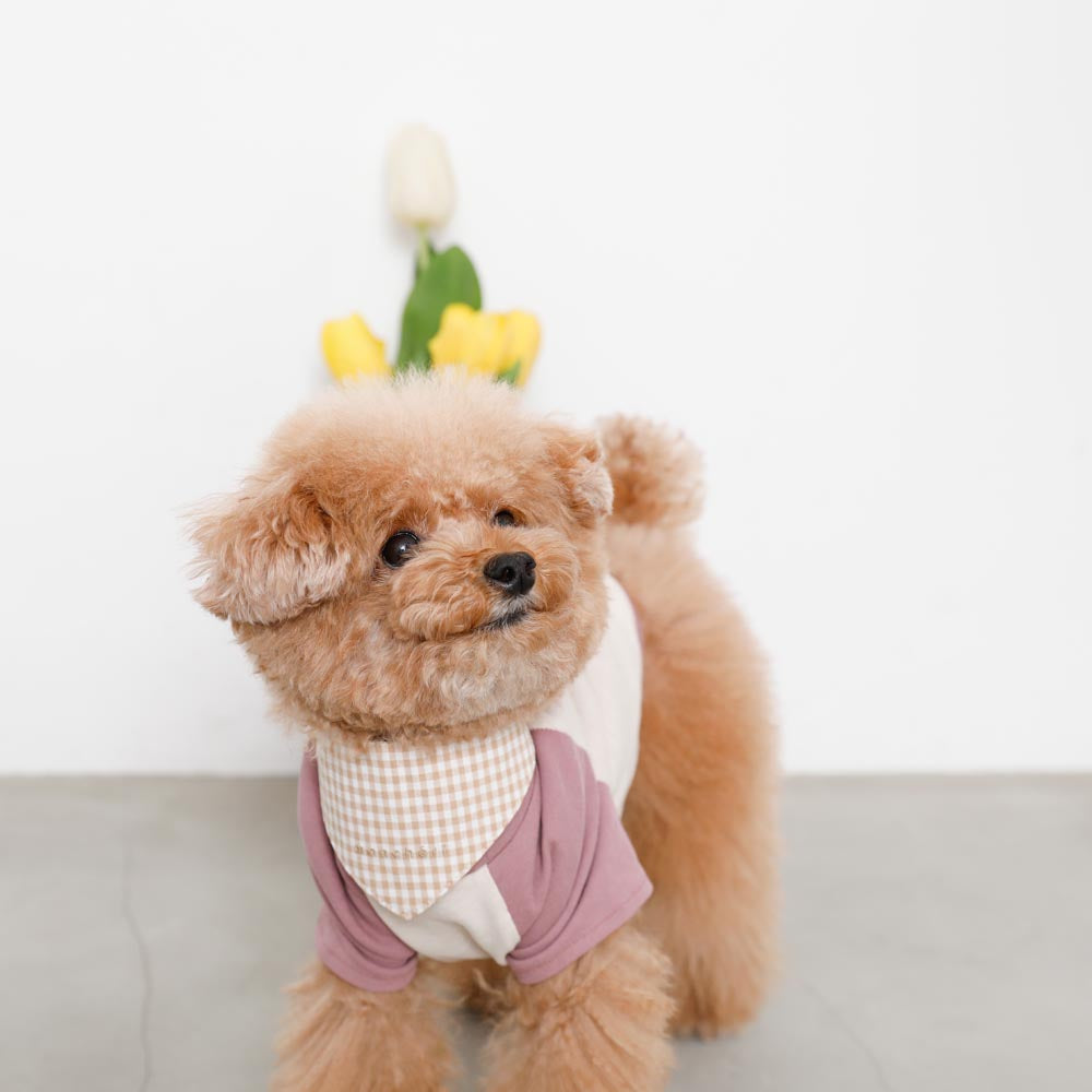 [Charity] Reversible bandana