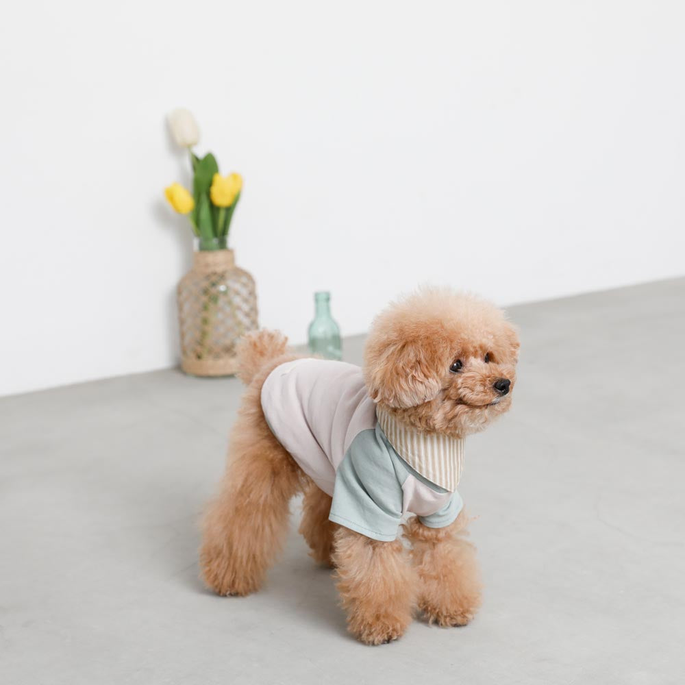 [Charity] Reversible bandana