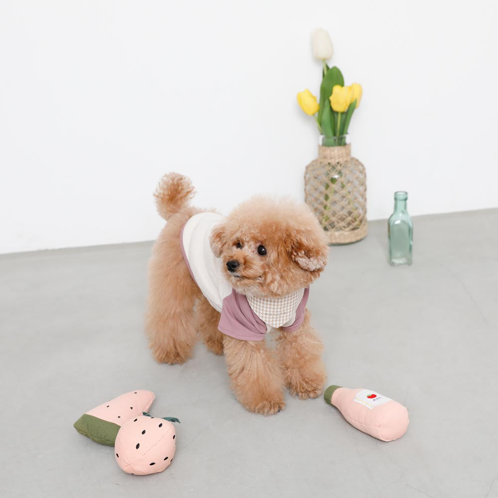 pink watermelon toy