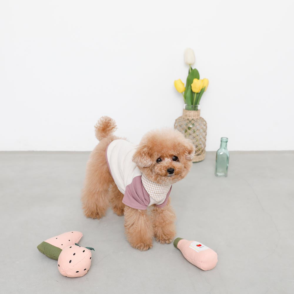pink watermelon toy