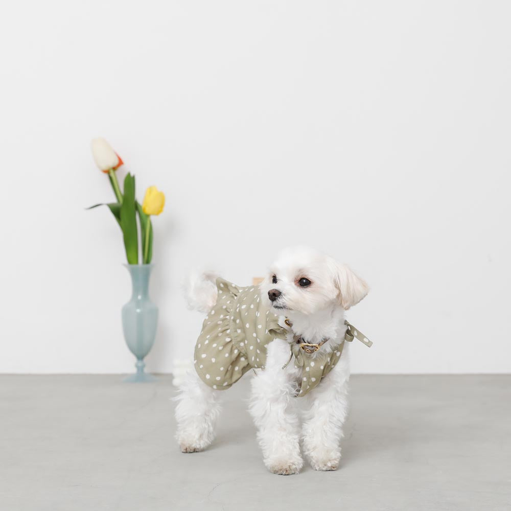 Deformed dot shoulder ribbon dress