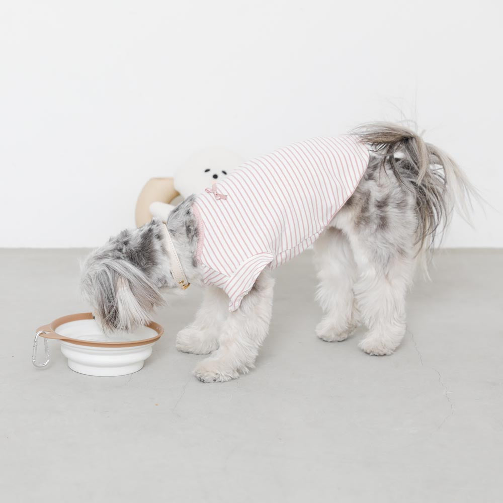 Foldable flat food bowl with hook
