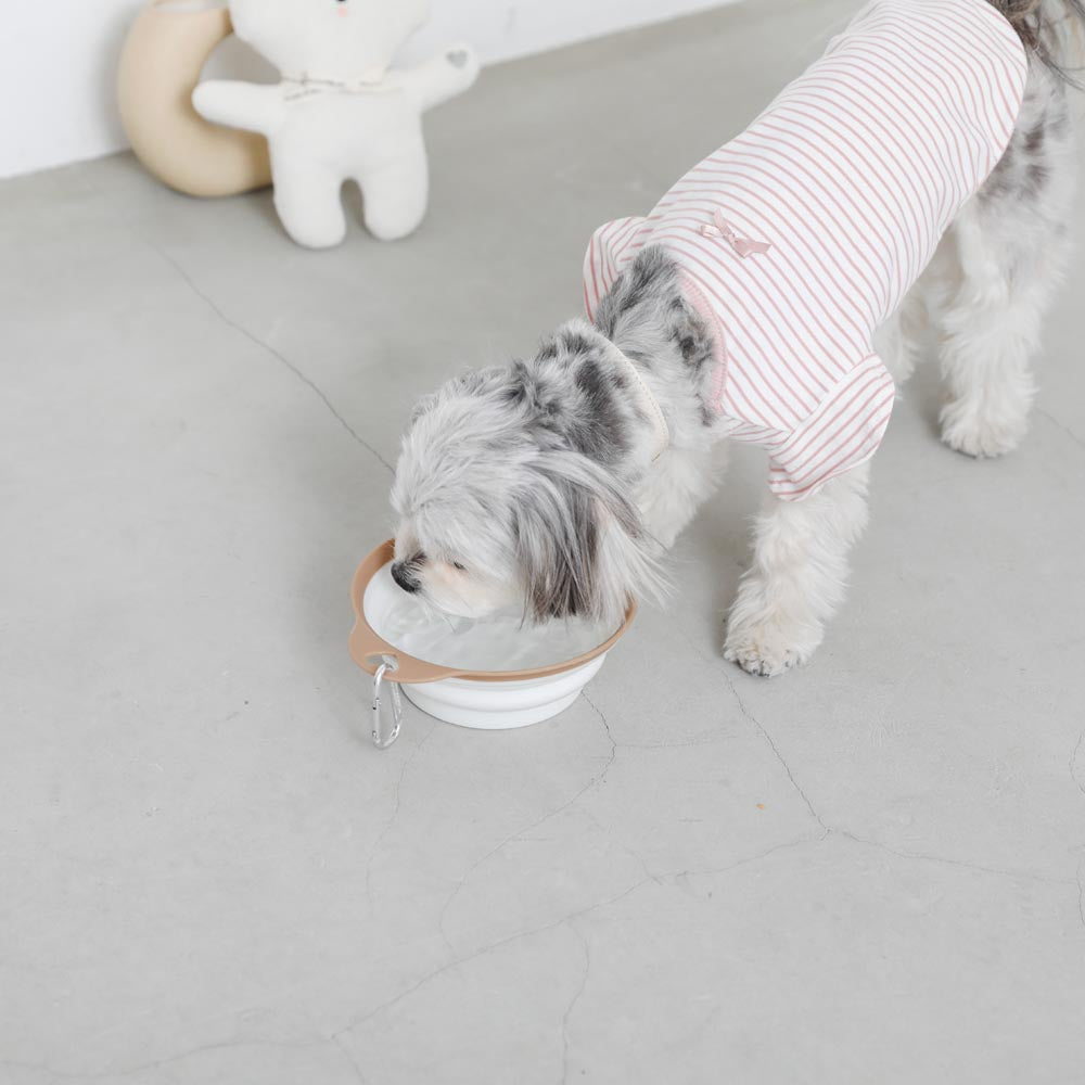 Foldable flat food bowl with hook
