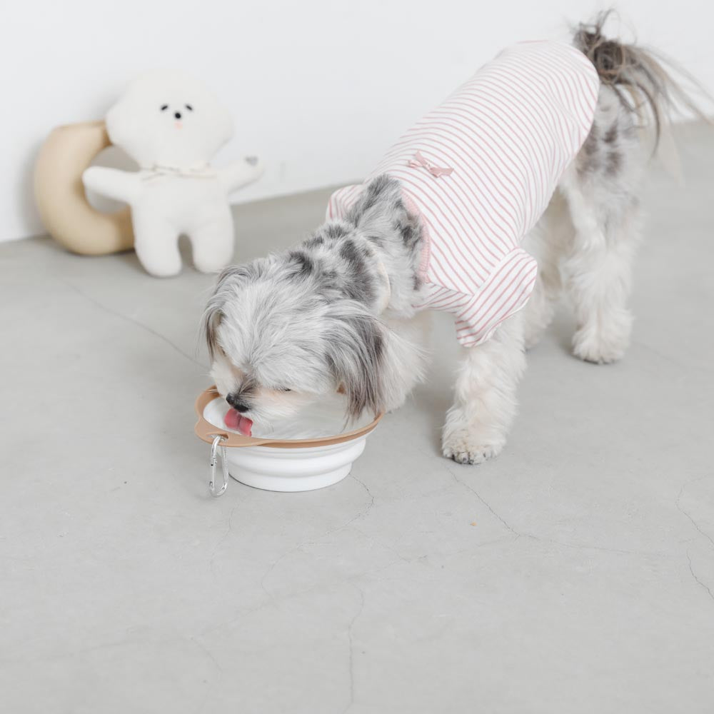 Foldable flat food bowl with hook