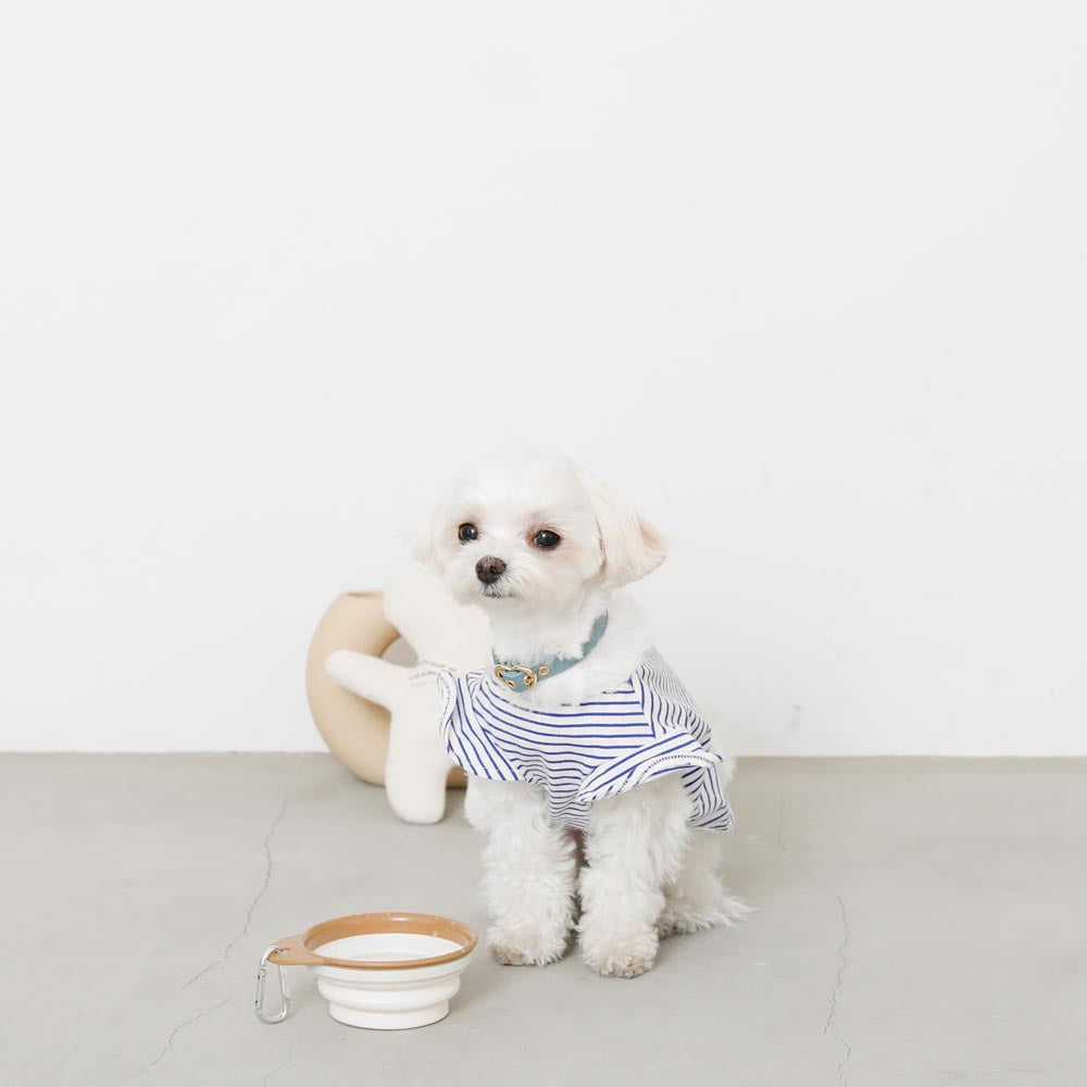 Foldable flat food bowl with hook