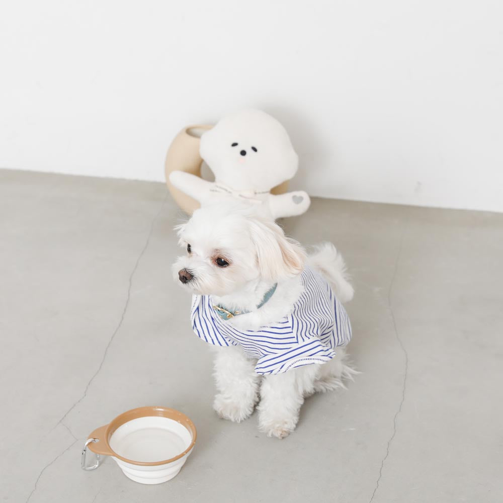 Foldable flat food bowl with hook