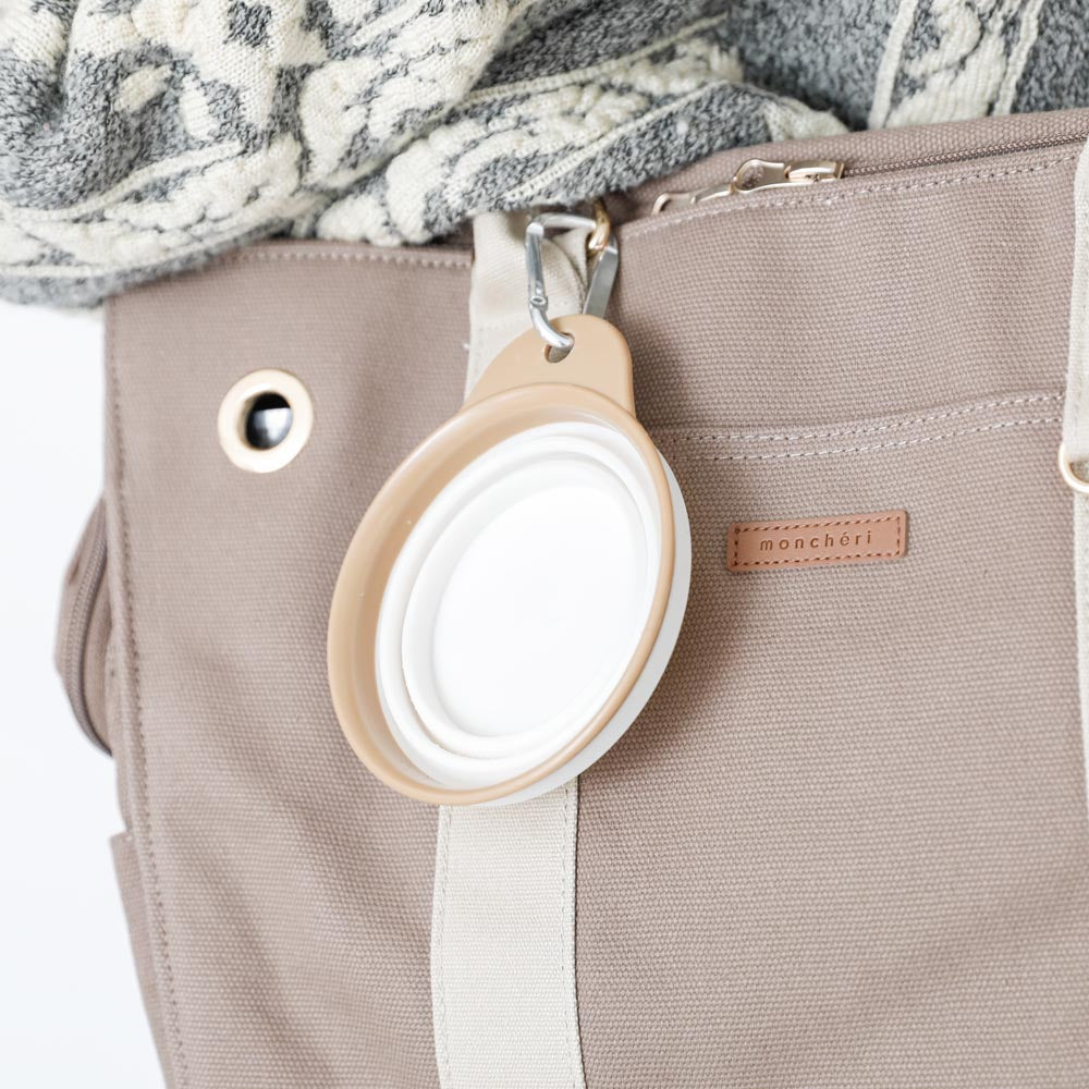 Foldable flat food bowl with hook
