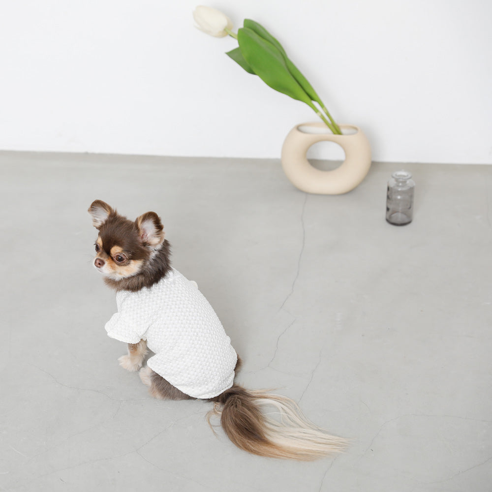 フレンチフレアスリーブぽこぽこチェックTシャツ