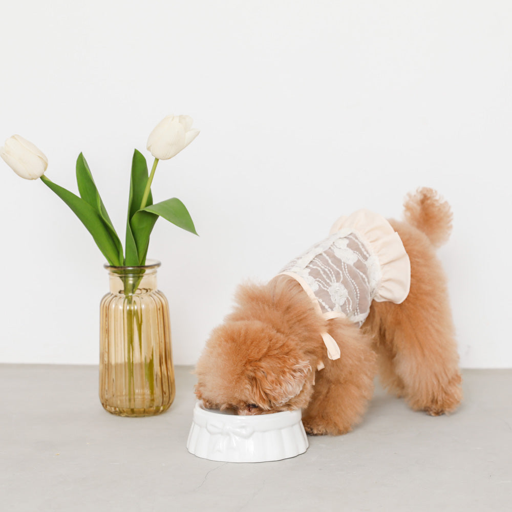 ribbon fancy food bowl