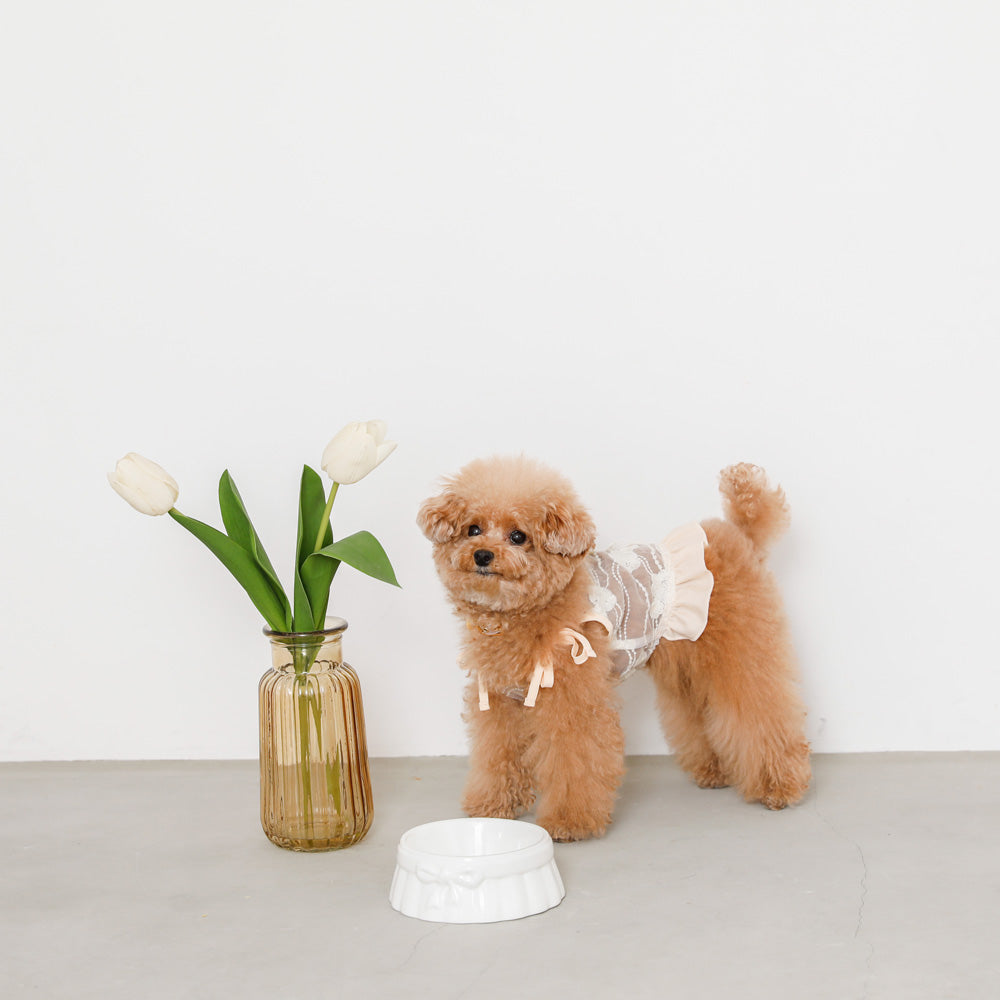 ribbon fancy food bowl