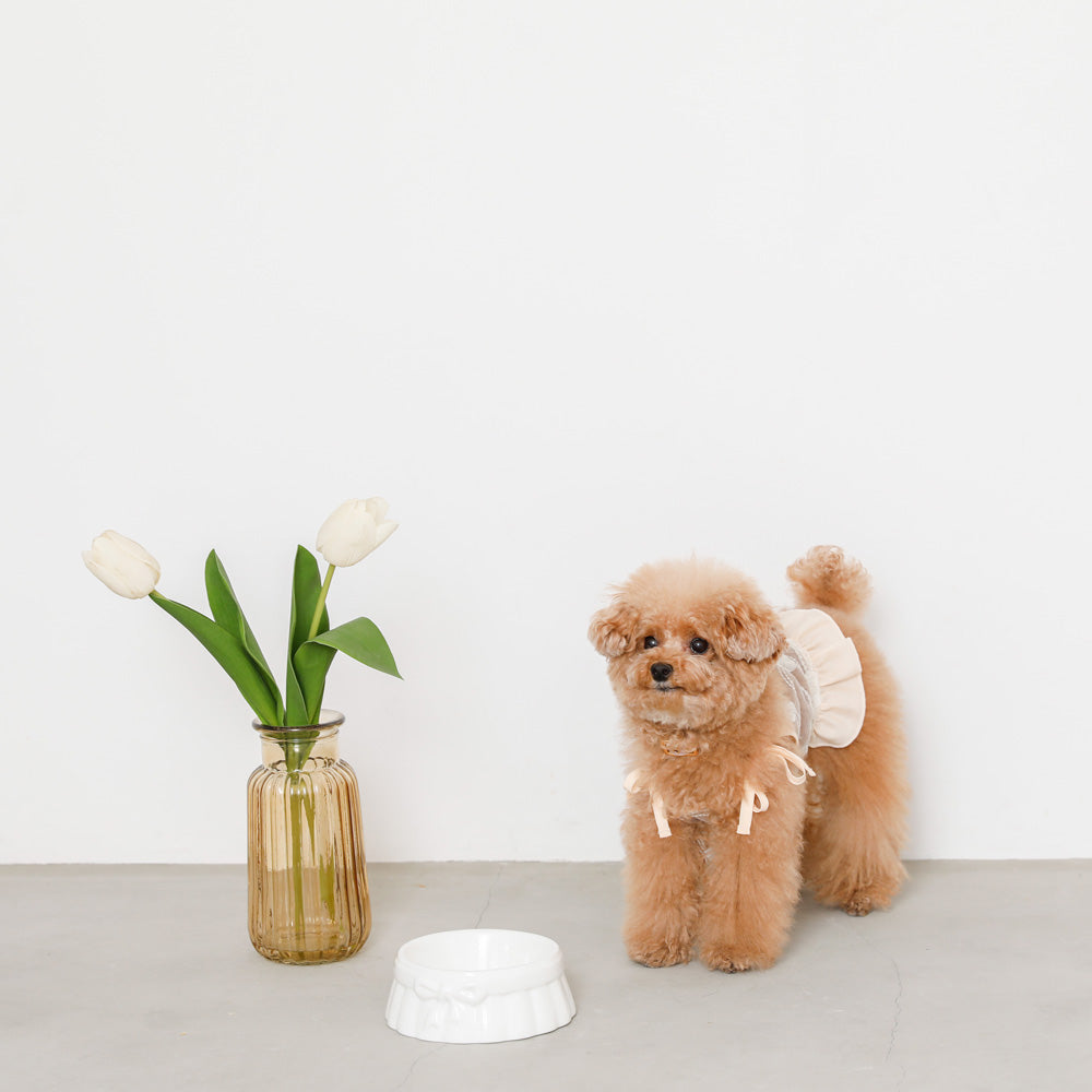ribbon fancy food bowl