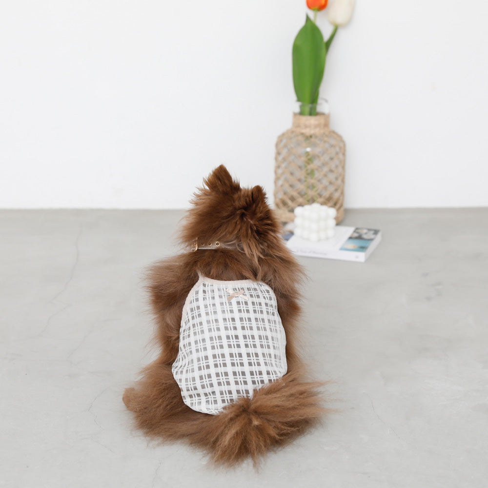 透明检查管卡钳