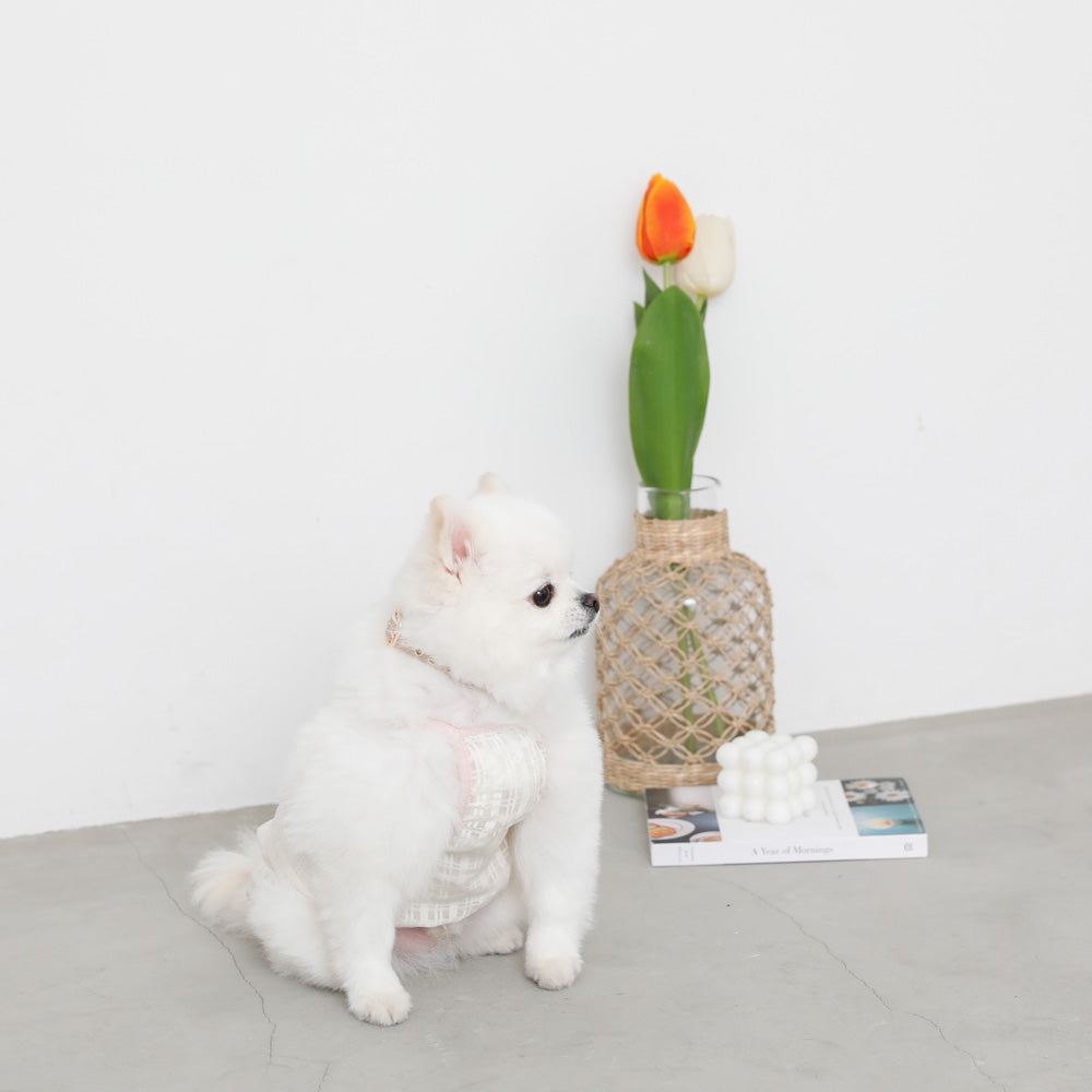 透明检查管卡钳