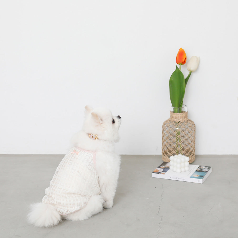 透明检查管卡钳