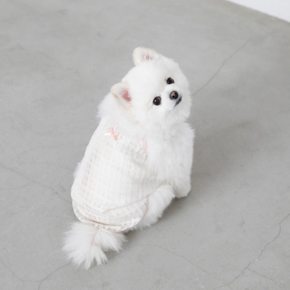 透明检查管卡钳