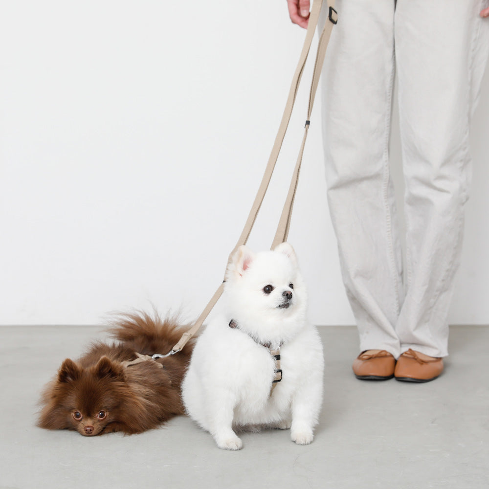 シンプルベーシックカラー継ぎ足しリード