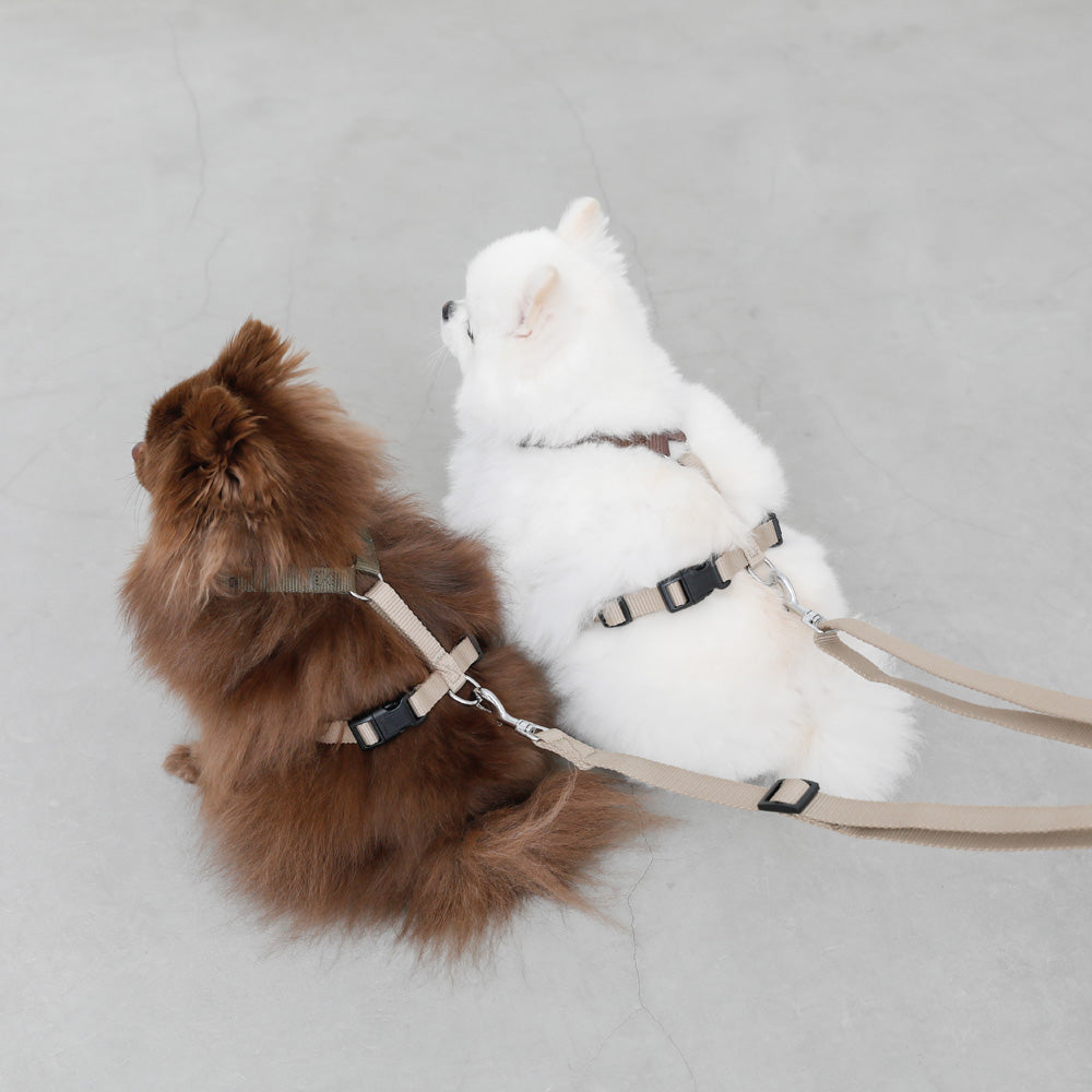 シンプルベーシックカラー継ぎ足しリード