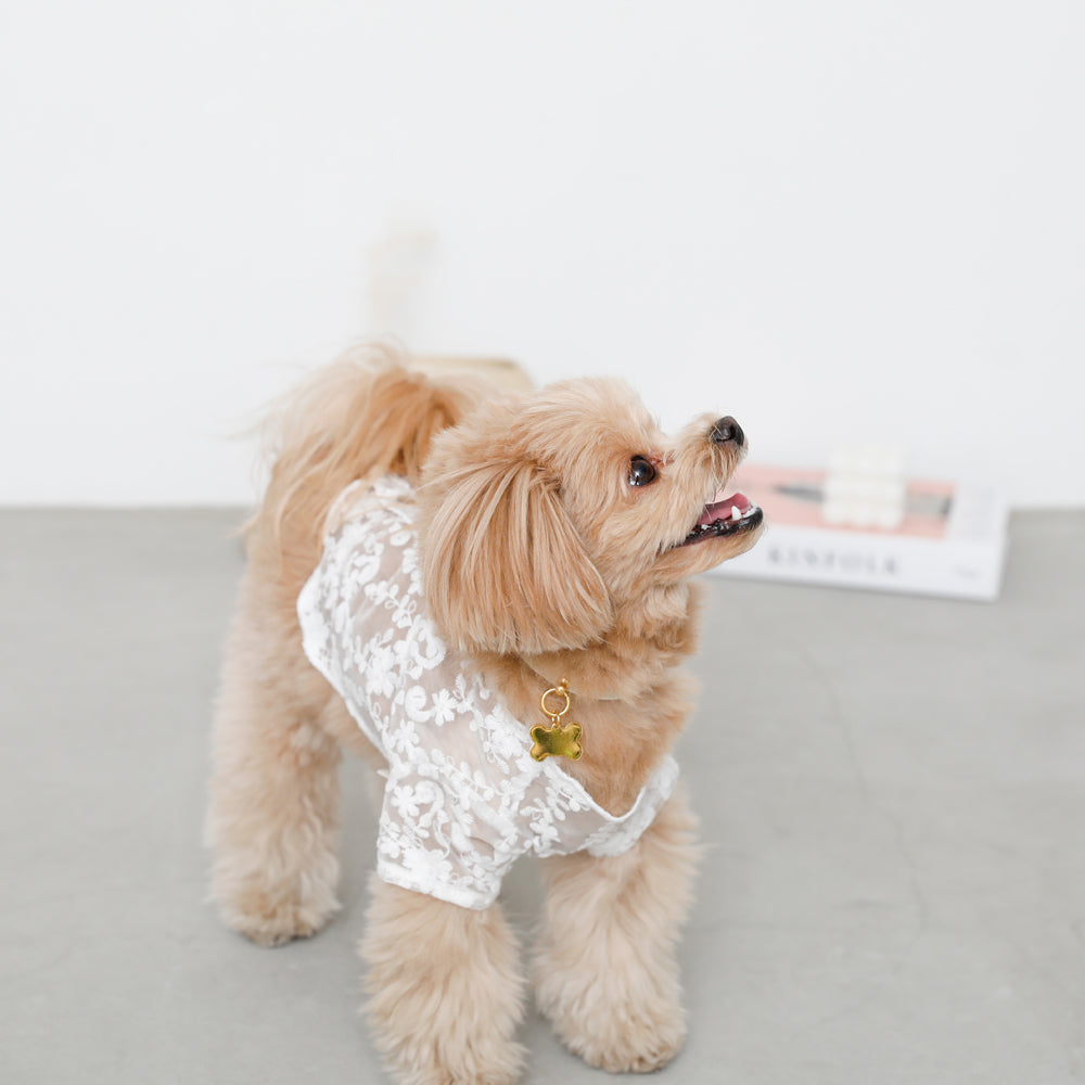 レースウッドボタントップス