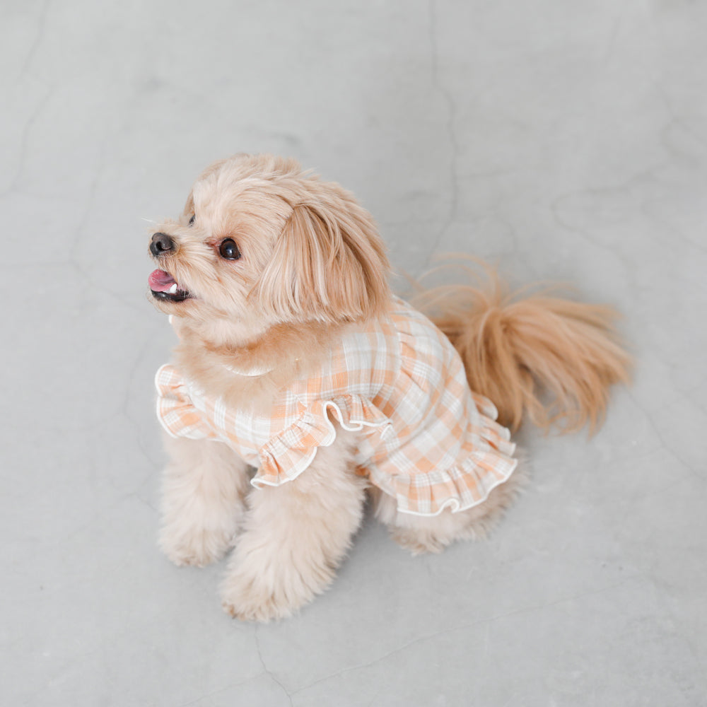 orange check frill dress