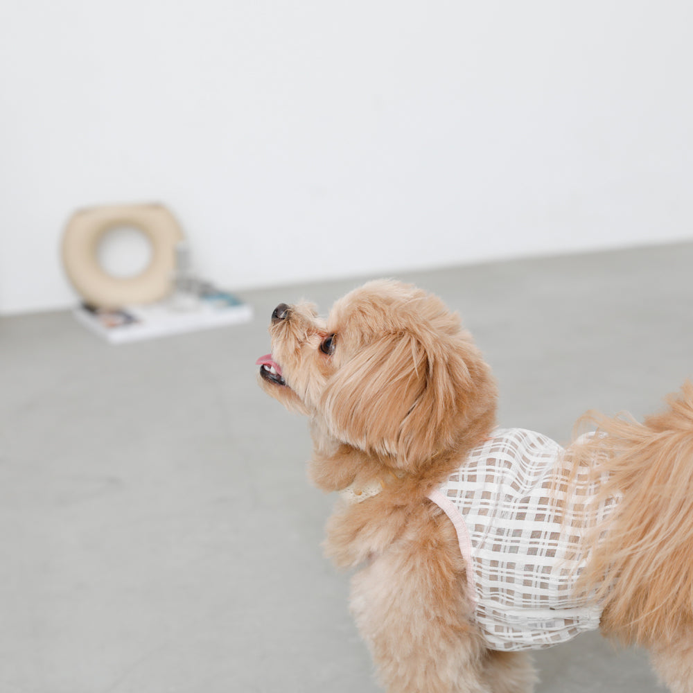 透明检查管卡钳