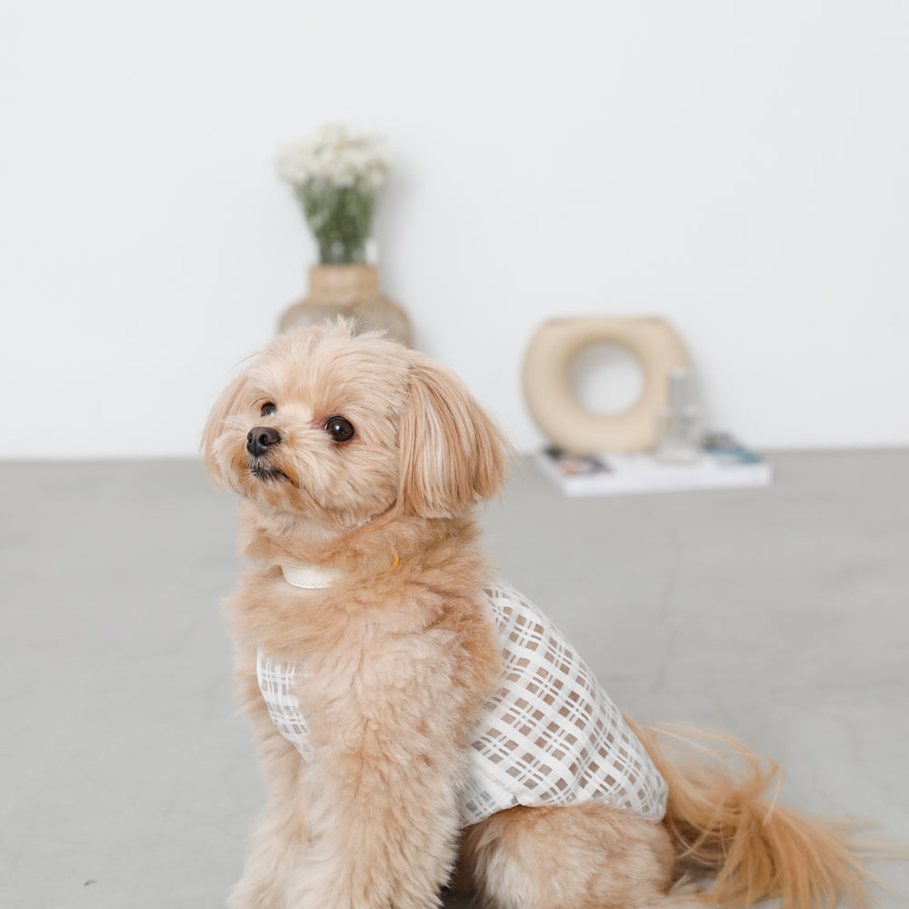 透明检查管卡钳