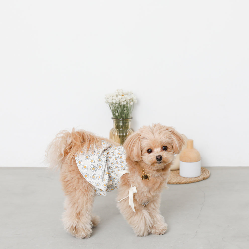 Daisy pattern gathered cami tops