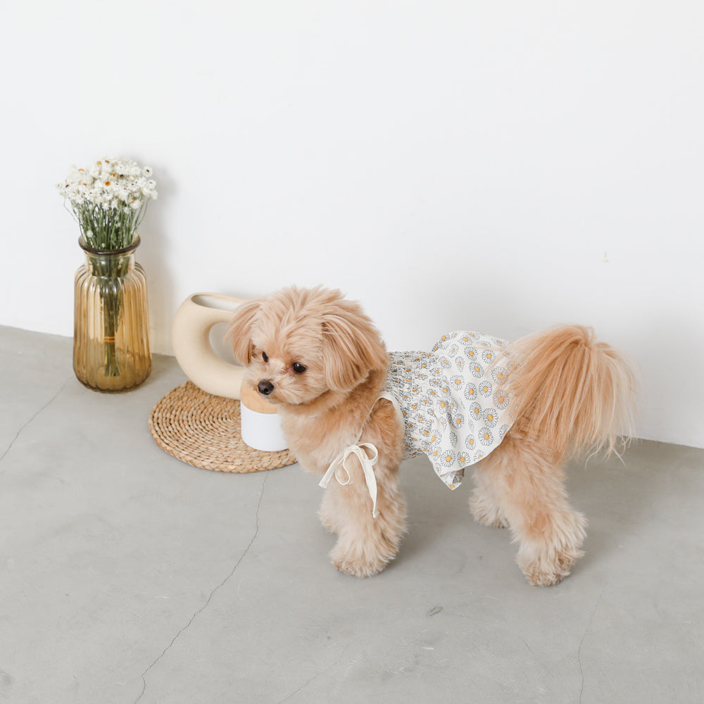 Daisy pattern gathered cami tops