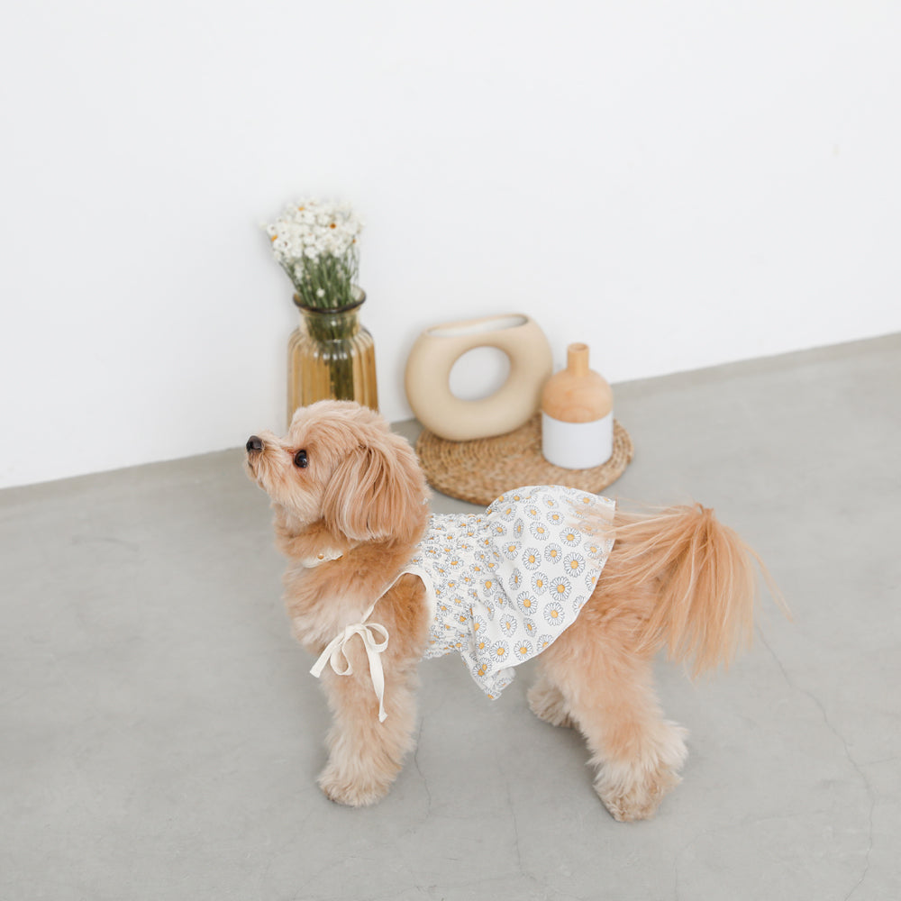 Daisy pattern gathered cami tops