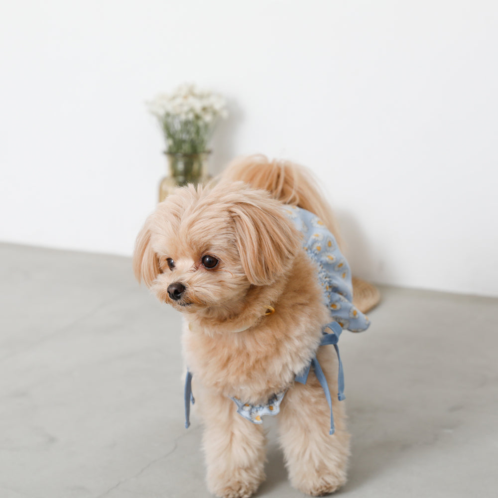 Daisy pattern gathered cami tops