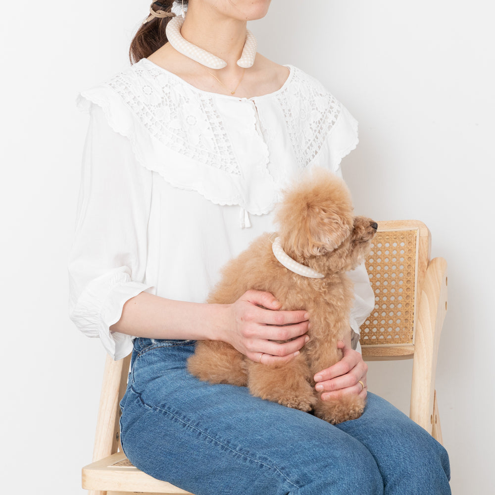 エコひんやりネックリング【愛犬ちゃん用】
