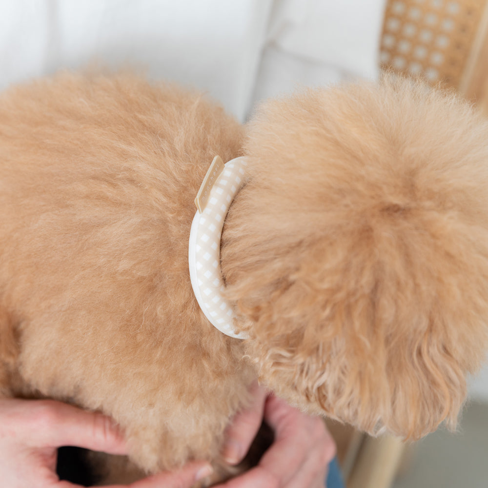 エコひんやりネックリング【愛犬ちゃん用】