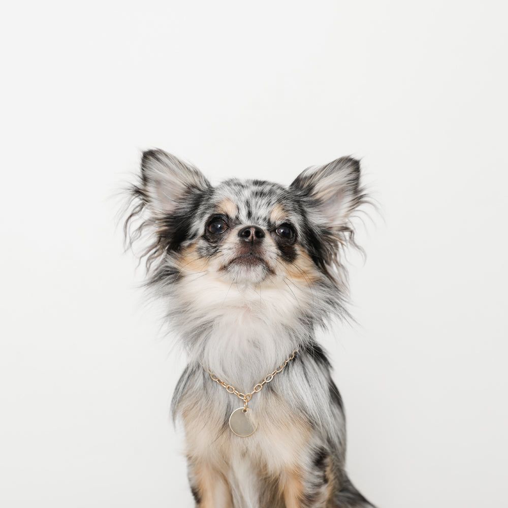 サークルチャームチェーンネックレス【名入れ彫刻対応】