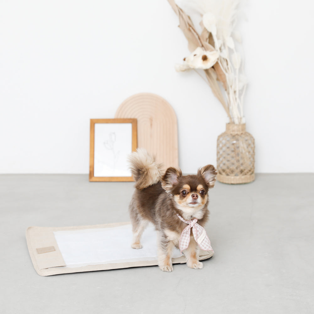 Magnetic detachable pet toilet seat