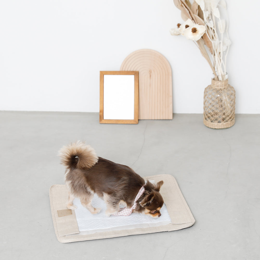Magnetic detachable pet toilet seat